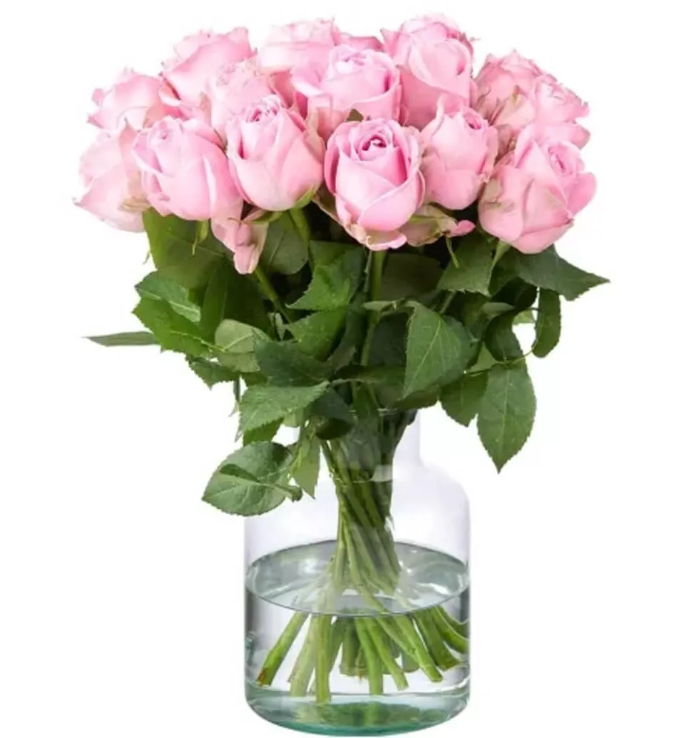 20 Pink Rose Bundles