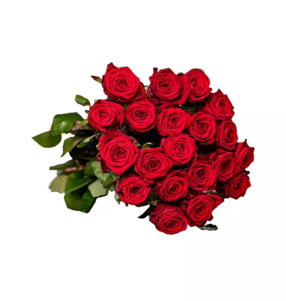 Classic Aura Of Red Roses