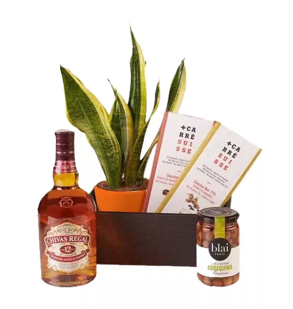 Gift Set with Sansevieria and Whiskey